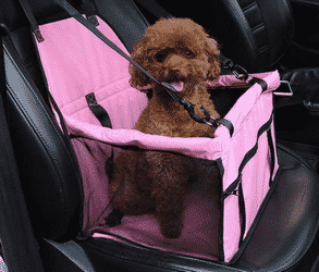 Comparatif siège auto pour chien